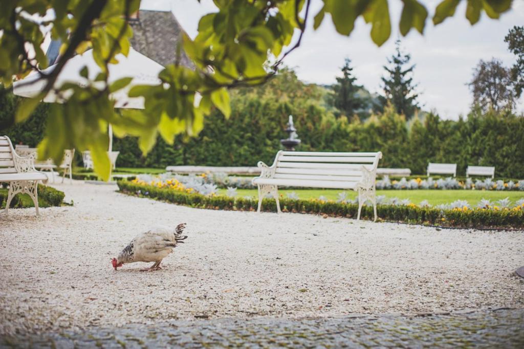 Schloss Braunau Löwenberg in Schlesien Exterior foto